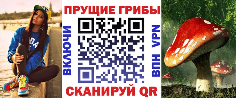 Галлюциногенные грибы мицелий  продажа наркотиков  MEGA сайт  Александровск 
